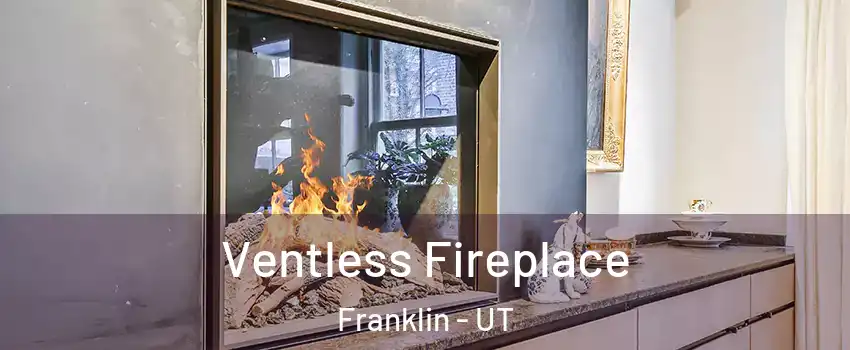 Ventless Fireplace Franklin - UT
