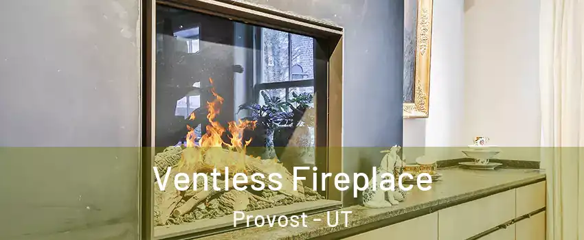 Ventless Fireplace Provost - UT