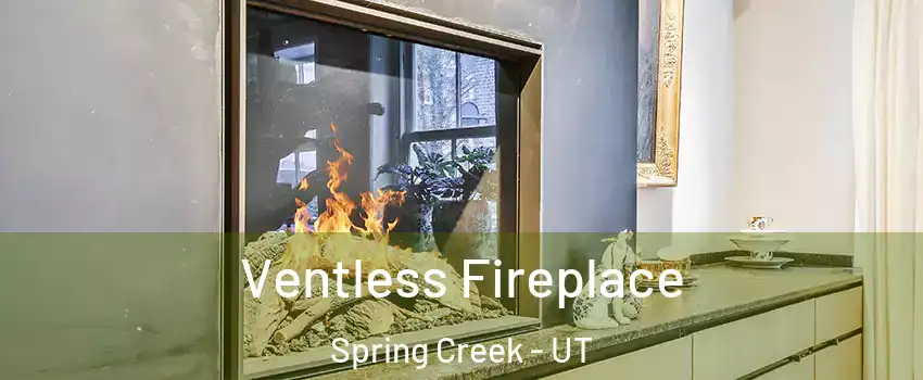 Ventless Fireplace Spring Creek - UT
