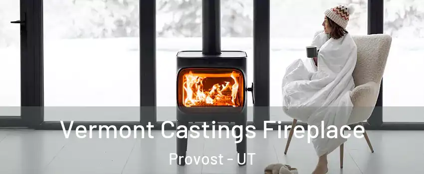 Vermont Castings Fireplace Provost - UT