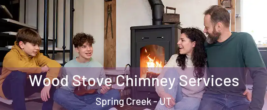 Wood Stove Chimney Services Spring Creek - UT