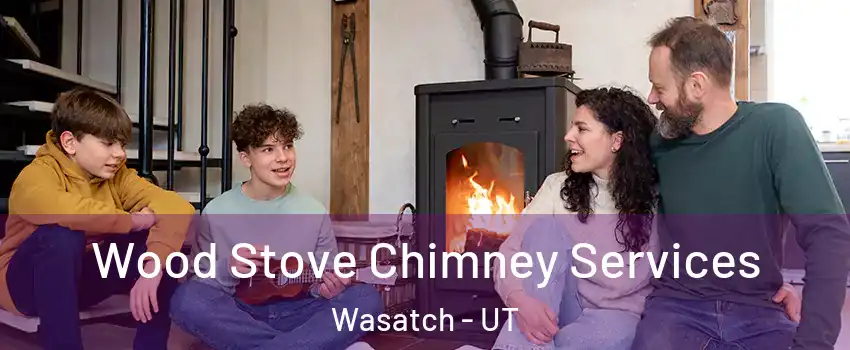 Wood Stove Chimney Services Wasatch - UT