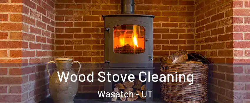 Wood Stove Cleaning Wasatch - UT