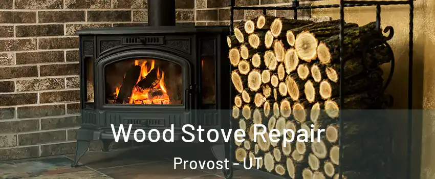 Wood Stove Repair Provost - UT
